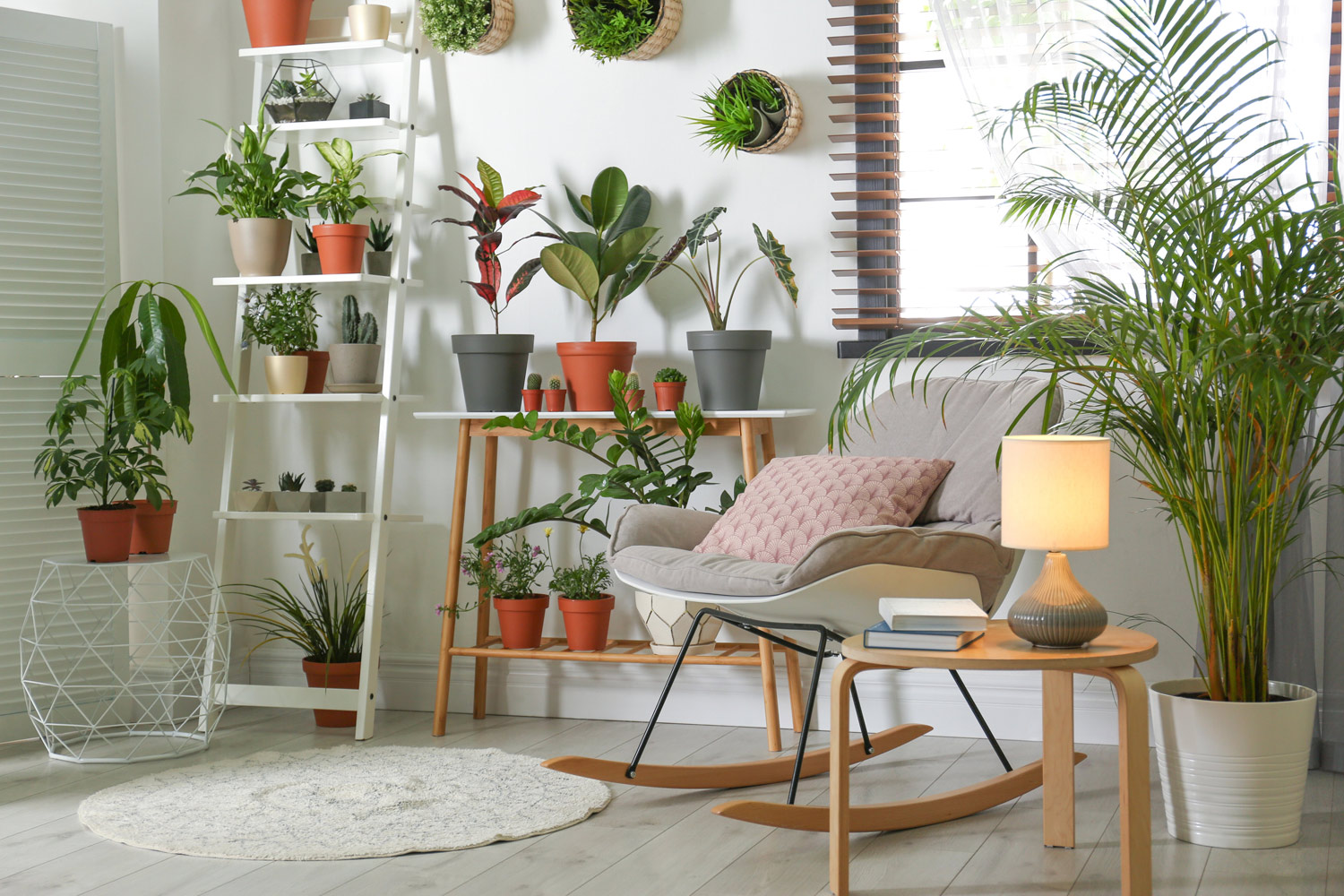 piante per interno