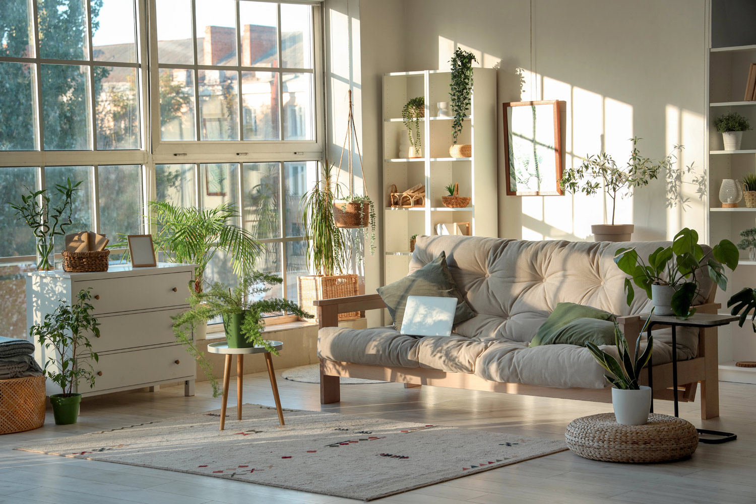 piante per interno
